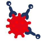 Immunomagnetic Separation Target cells isolation