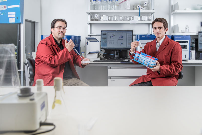 rqmicro Team