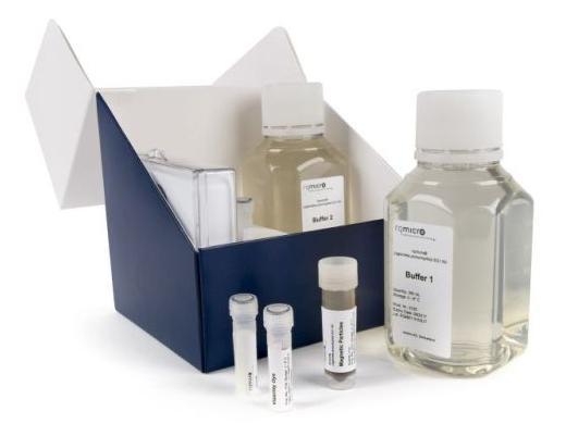 rqmicro Legionella Test Kit Reagents for the quantitative detection of viable Legionella