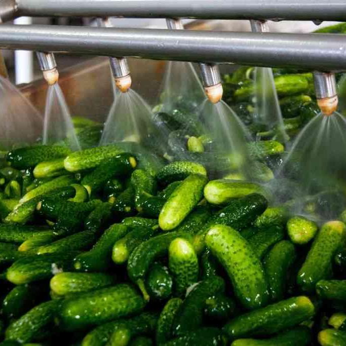 Ensure faster product release in F&B Food and beverage quality control