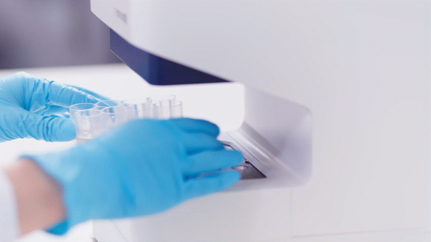 Quantitative mikrobiologische Daten rqmicro.COUNT