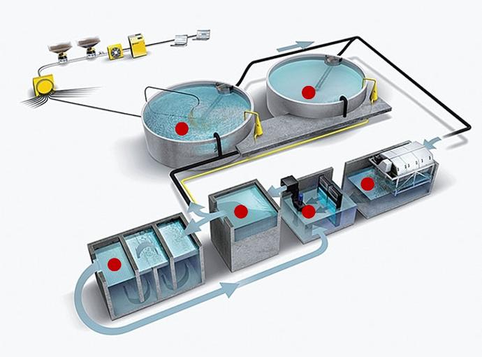 RAS operators define critical control points for direct microbiology monitoring