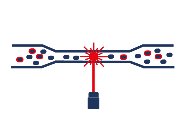 Why choose rqmicro E. coli test kits?