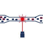 Flow cytometric detection Single-cell analysis
